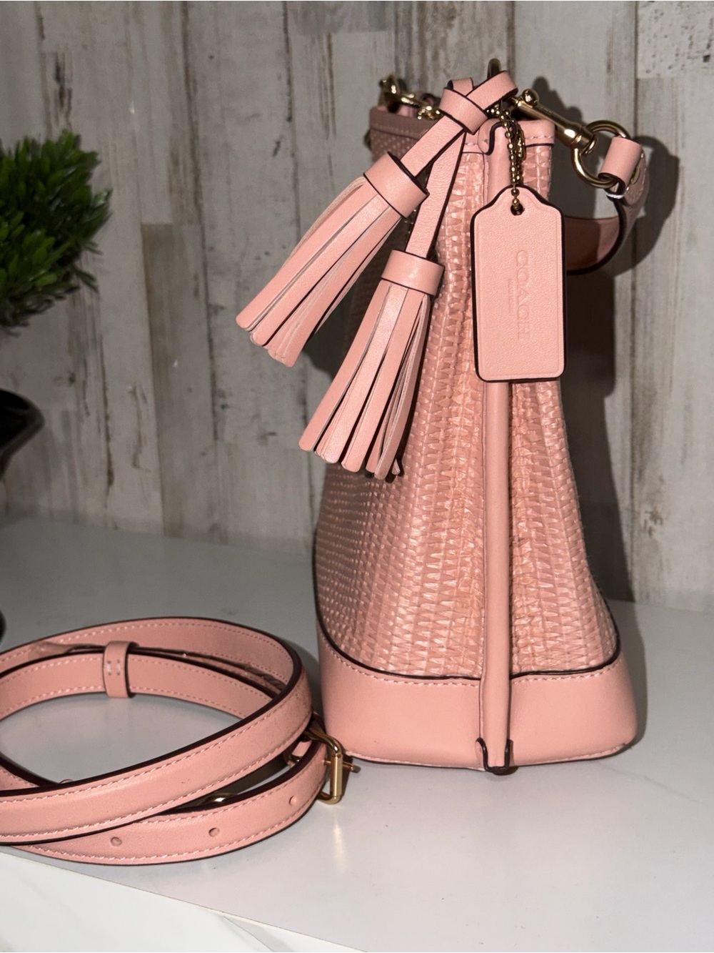 Coach Blush Pink Mollie Bucket Bag with Tassels - Picture 2 of 6